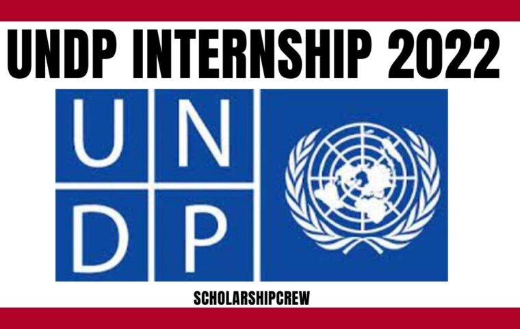 UNDP Internship 2022