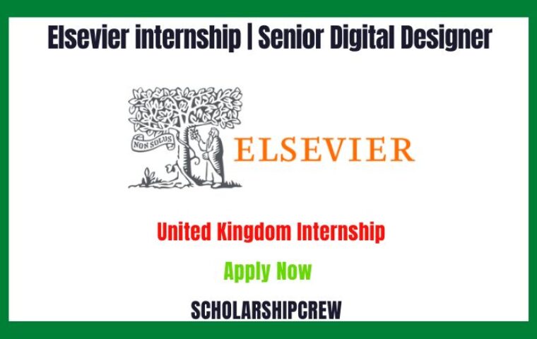 Elsevier Internship | Senior Digital Designer