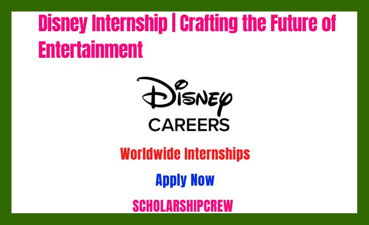 Disney Internship